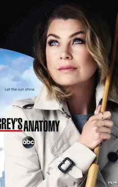 постер Анатомия страсти 12 сезон