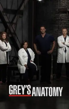 постер Анатомия страсти 13 сезон 2 серия