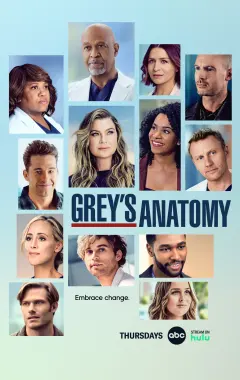 постер Анатомия страсти 19 сезон