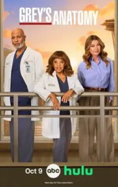 постер Анатомия страсти 22 сезон